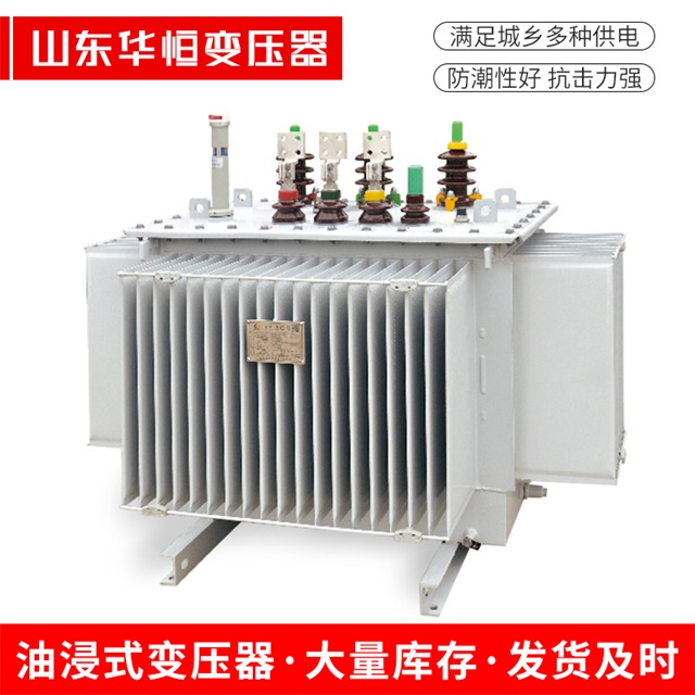 S13-10000/35崇仁崇仁崇仁电力变压器